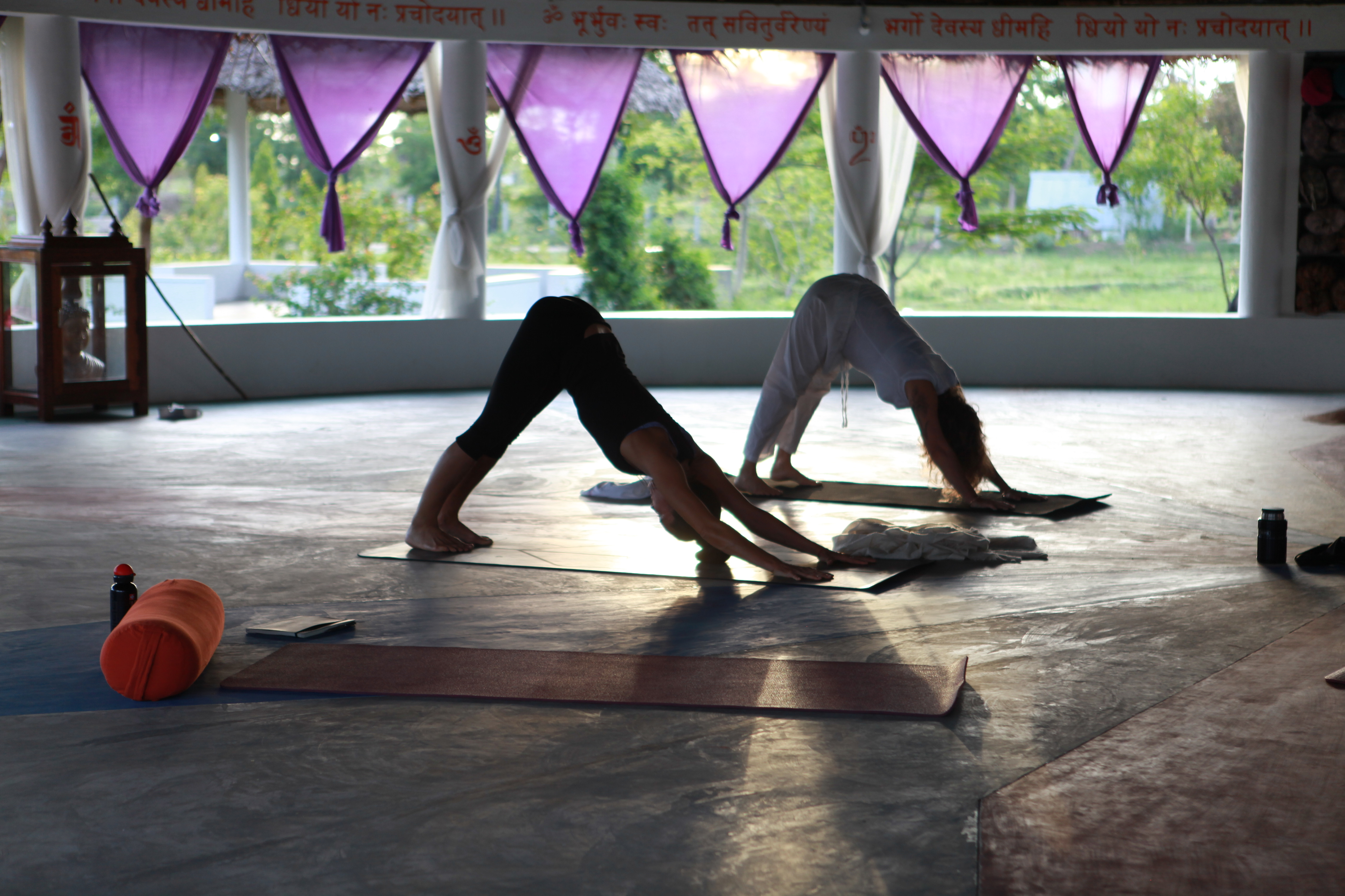 India Retreat Date with Breeze Yoga / 1 – 12 February 2025